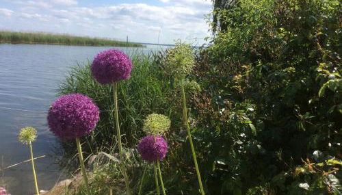 Feriendomizil Wohltat - Foto 2, Garden view