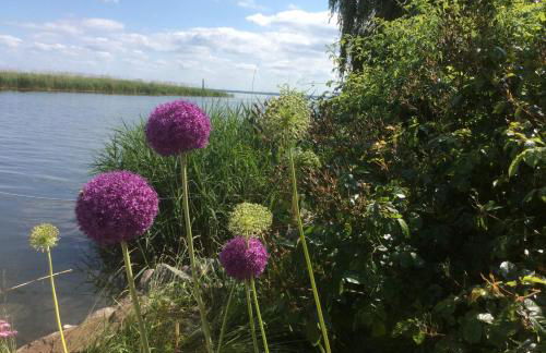 Feriendomizil Wohltat - Foto 2