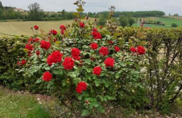 Gite de La Cheneraie - Foto 13