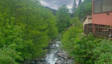 Grande maison cévenole authentique - Foto 2