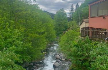 Grande maison cévenole authentique - Foto 2