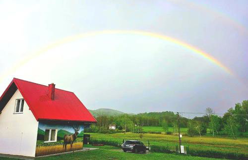 Domek Na Hawajach - Foto 23