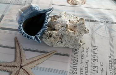 Casa vacanze SALENTO BELLA VISTA - Foto 19