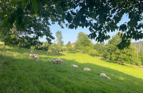 Black Forest Stüble - Photo 12