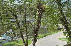 Tiny House Lahnfriede - Foto 28