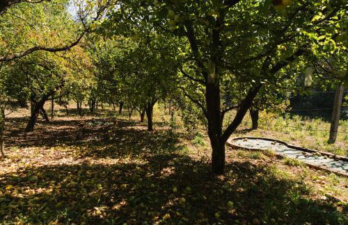 Quinta do Pomarinho - by RowdHouses - Foto 21