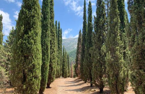 Lillian’s House - Foto 74