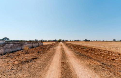 Masseria Delle Api - Foto 8