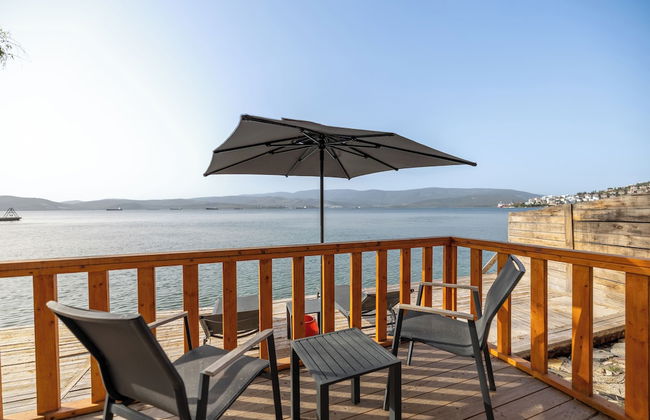 Roseira Bungalov - Photo 4