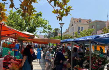 Quinta da Familia - Foto 18