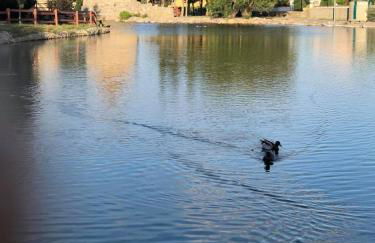 Studio indépendant tout confort pour 4 personnes 25 m carrés - Foto 10
