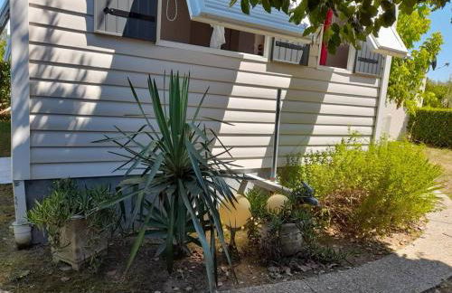 Mobil-home 3 pièces à Dolus-d'Oléron - Capacité 4 personnes - FR-1-246A-120 - Foto 17