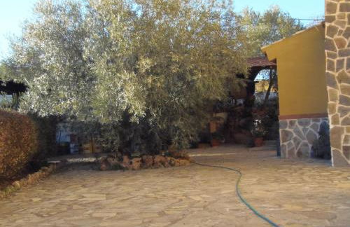 Cortijo Moyano - Photo 54