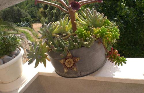 Holiday Home Rubinić - Foto 75