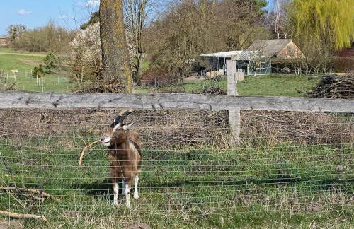 Buchbinderhof in Uckermark - Photo 15