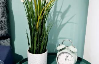 Bright 3BR walking distance to town - FREE parking - Foto 11