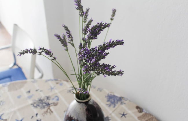 Cozy Apartment in Biograd for Maximum 4 Guests - 3 Minutes Walk to the Beach! - Foto 25