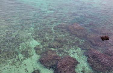 Cala Paradiso - Foto 64