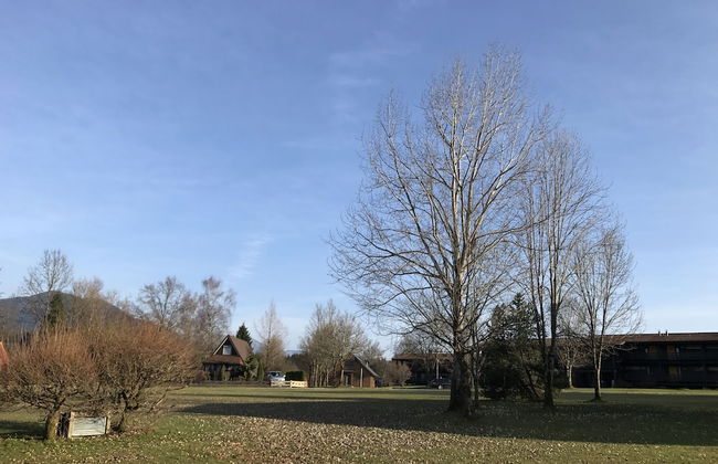 Chiemgautraum - Foto 21