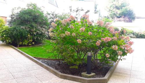 Studette moderne, cosy et équipée en plein cœur de Versailles! - Foto 3