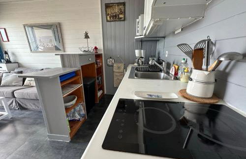 Appartement sur la plage avec parking privé à Longeville-sur-Mer - FR-1-336-127 - Foto 22