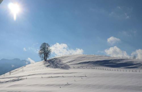 Ferienwohnung Bichelblick - Foto 28