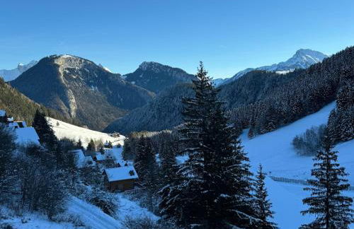 2-bed appt 20 mins from Morzine Portes du Soleil French Alps - Foto 50