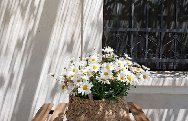 Il Fico nel Pozzo in Fossacesia - Foto 40