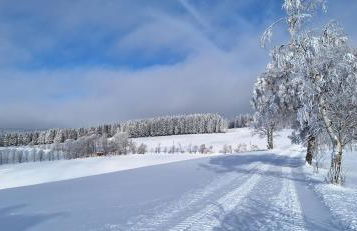 Landhaus Gnacke - Foto 22