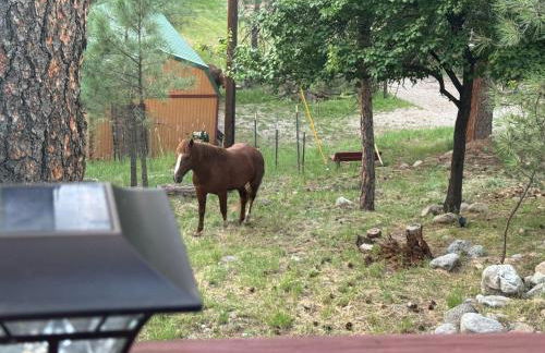 Gonzales Cozy Little Bear Cabin - Foto 37