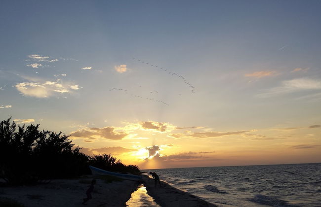 Casa de los peces - Foto 27