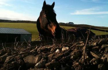 Lovely Cottage by Coastal Footpath & Surf Beaches! - Photo 31