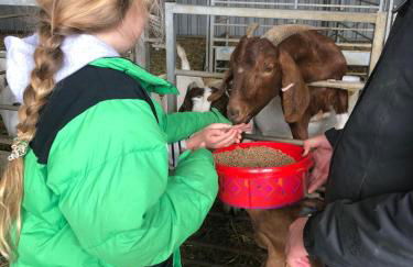 Drumguish Cottage - Foto 57