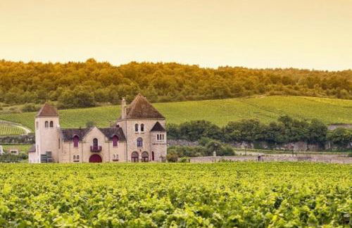Le Caudalie au cœur des vignobles Pessac Léognan - Foto 28