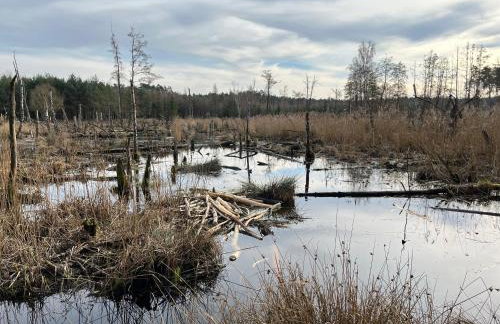 Tawerna Pod Kotwicą pokoje i domy wakacyjne - Foto 35