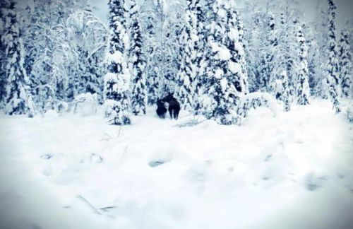 The Fancy Fox - Frontier Village - Foto 11