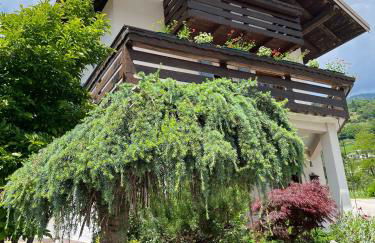 Casa Valsugana Lagorai - Foto 12