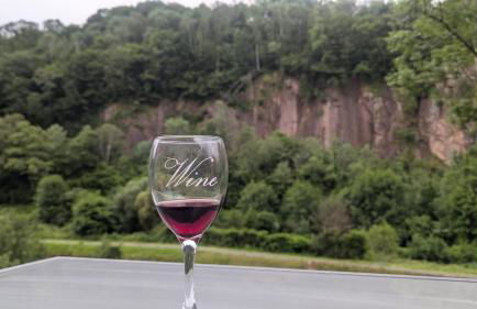 apartment, gite by the canal l Est,river Coney vosges france - Foto 5