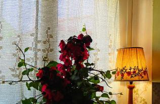 Nafpaktos The country home - Foto 3