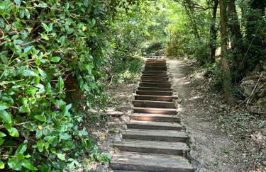 Lovely stay in provence - Foto 22