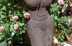 La Bohème - Foto 19