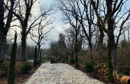 Arnaia Forest Villa - Photo 16