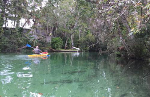 Large family friendly Vacation Home, Private Pool, Golf course location, Nr Orlando Disney Parks Florida - Photo 36