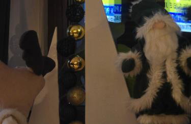 Całoroczne -"Domki na zielonej łące" - Foto 28