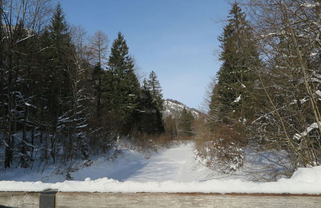 Nagelsmederij in het Huis Waldwinkel - Foto 38