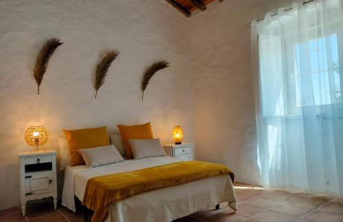 Canto da Planície - Foto 7