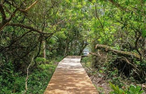 WI-FI 500MB | Trapiche na Lagoa da Conceição #LA09 - Foto 38