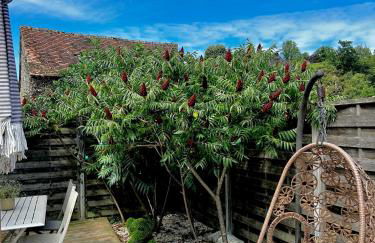 La Cassine bis - Havre de paix à Saint Ceneri - Foto 12