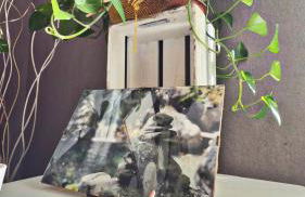 Dalla Spiaggetta a Quinto - Foto 59