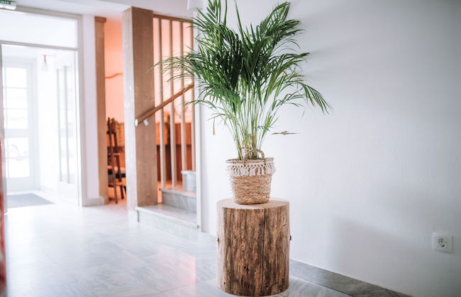 Aparthotel Triglav - Photo 36